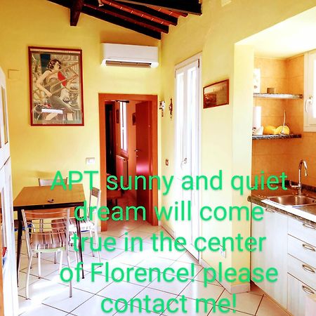 Apt Bright, Quiet! In The Center. Florencie Exteriér fotografie
